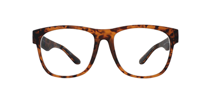 Hellhound Hallucinations